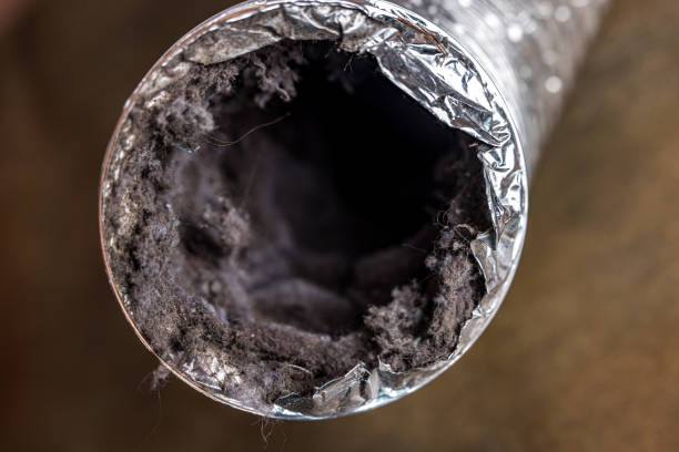 Best Local Air Duct Cleaning Services  in Edwards, MS
