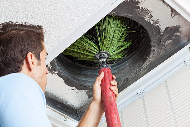 Best Professional Duct Cleaning Services  in Edwards, MS