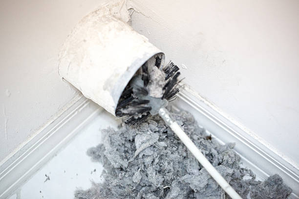 Best Affordable Air Duct Cleaning  in Edwards, MS